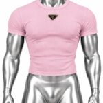 Blusa Cropped Prada