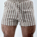 Short Básico Linho Listras